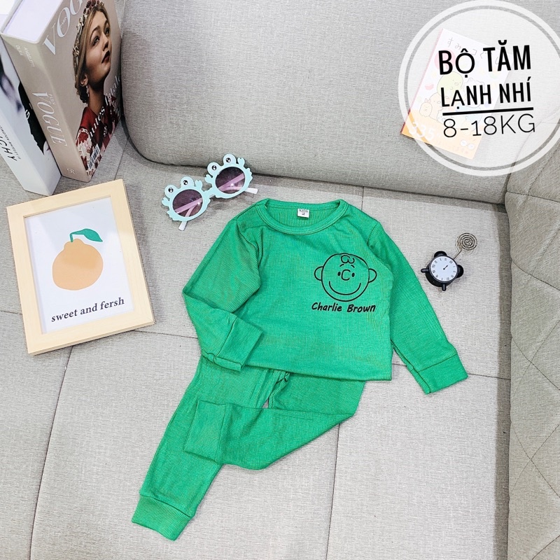 Quần áo trẻ em 8-18kg, bộ đồ dài tay Thu Đông cho bé hình gấu chất tăm lạnh mềm mịn siêu hot 2022