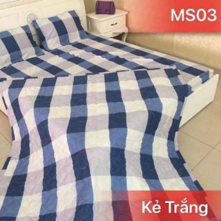 Ga Trải Giường Bọc Đệm M5