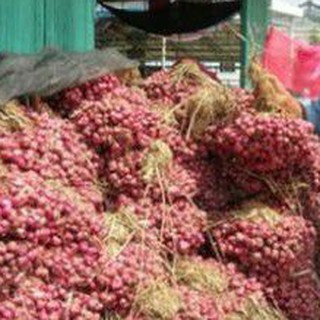 1kg Củ hành tím Vĩnh Châu