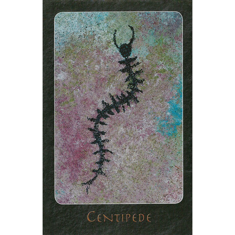 Bộ Bài A Shaman Oracle (Mystic House Tarot Shop) - Bài Gốc Authentic Chính Hãng 100%