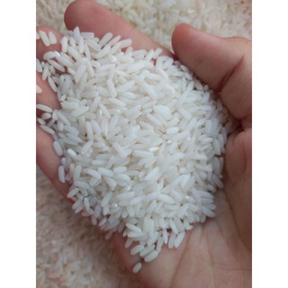 Gạo Lài Sữa ( 5kg )