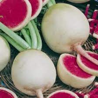 1gr hạt giống củ cải ruột hồng