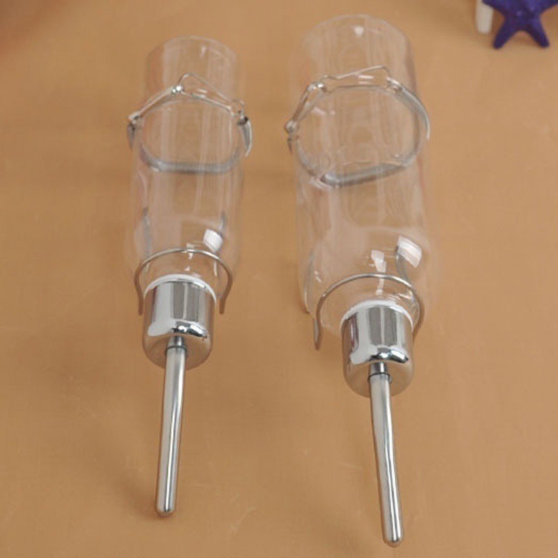 Bình Uống Nước Cho Thú Cưng