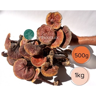 Nấm lim xanh rừng 100% |500g-1kg