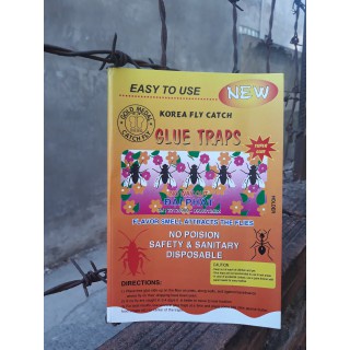 SET 5 MIẾNG Keo bẫy ruồi KOREA FLY CATCH GLUE TRAPS