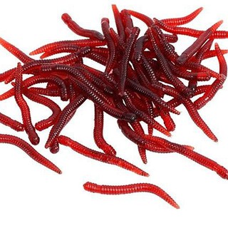 Set 100 Mồi Câu Cá Giả Hình Giun Đất