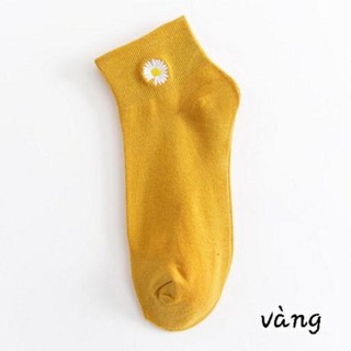 [RẺ VÔ ĐỊCH]Tất Cổ Ngắn Hoa Cúc - Túi 10 Đôi