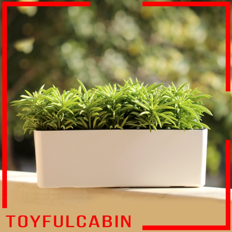 Bình Tưới Cây Tự Tưới Nước Hình Chữ Nhật Bằng Nhựa Màu Trắng