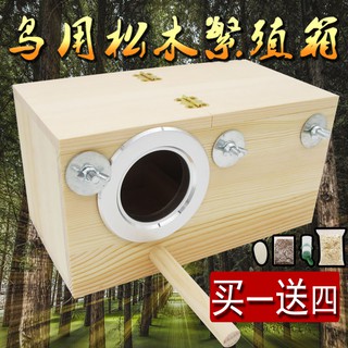 Hoa mẫu đơn hổ vẹt hộp nuôi chim yến làm tổ chim yến bằng gỗ lồng ấp phụ kiện lồ