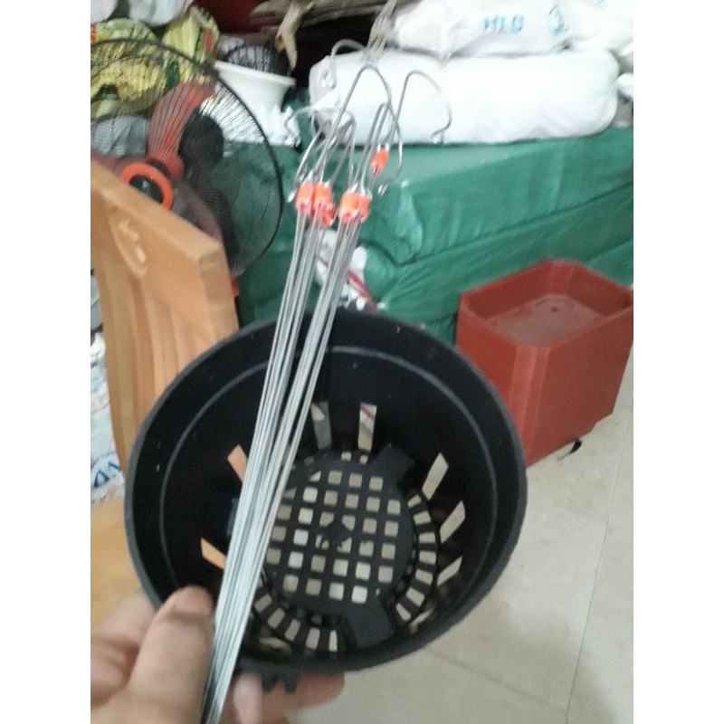 combo 50 chậu lan đen kèm quai phi 18cm