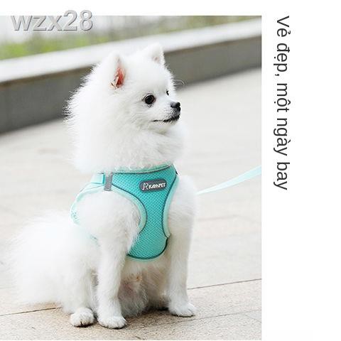 Dây xích cho chó kiểu vest, nhỏ, đeo ngực, con, dắt đi dạo, Teddy, Bichon, Pomeranian