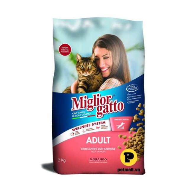 Hạt cho mèo mèo Morando miglior gatto 2kg, thức ăn khô cho mèo con lớn nhỏ Con Mèo Xiêm