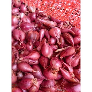 1Kg Hành Tím Lý sơn