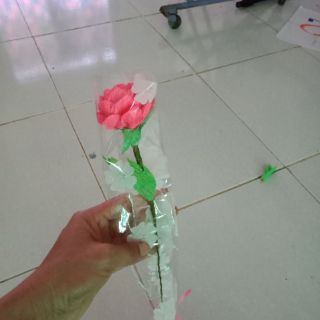 Hoa giấy handmade