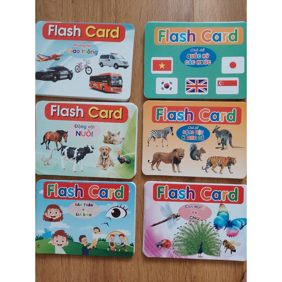 Thẻ học thông minh kích thước lớn 12x16cm(1 chủ đề) tùy chọn -  Flashcard TGXQ Glenn doman chuẩn