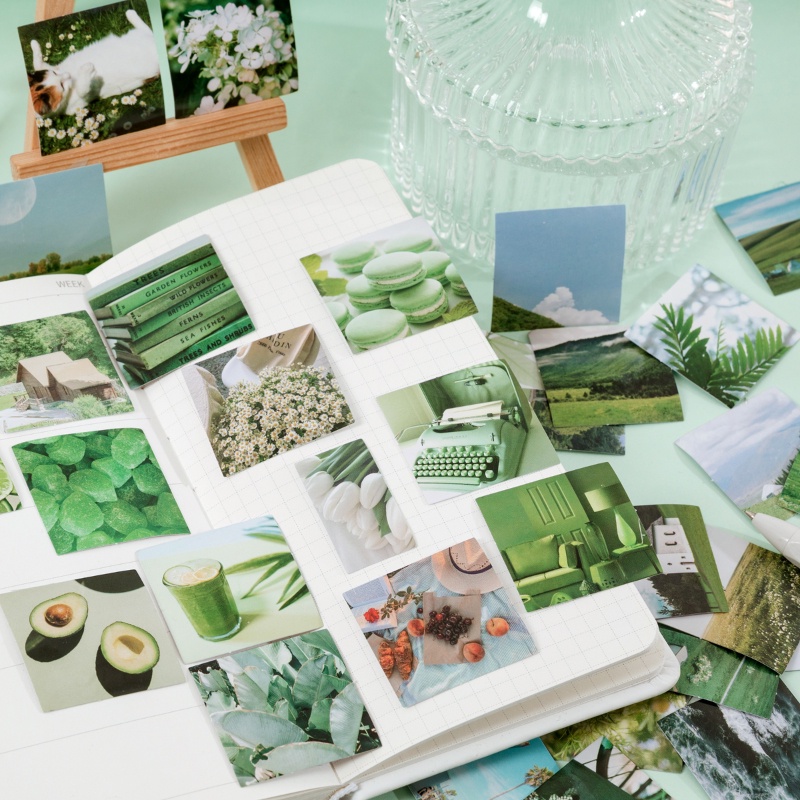 Set 46 Miếng Dán Hình Hoa Và Bướm Trang Trí Album Ảnh