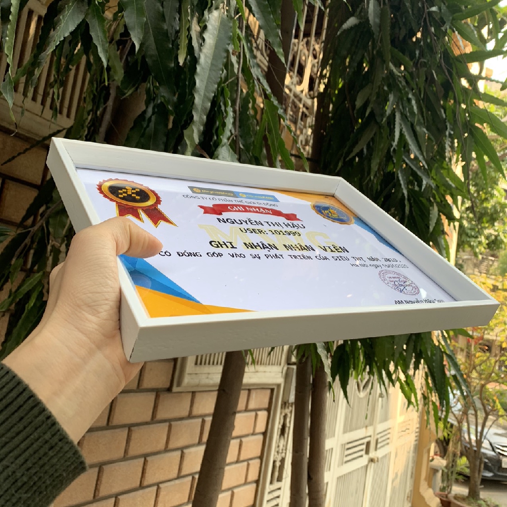Khung bằng khen khung giấy khen vát viền mỏng cỡ A4 sang trọng | BigBuy360 - bigbuy360.vn