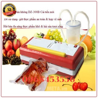 Máy hút chân không Dz300B hút khô và hút nước
