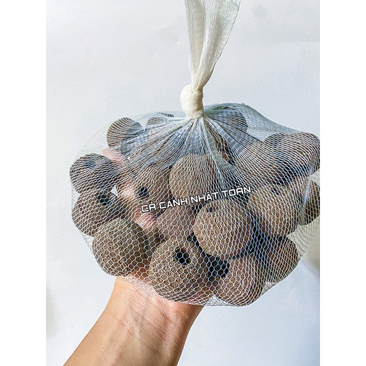 SỨ LỌC 3D VẬT LIỆU LỌC CHO BỂ CÁ CẢNH