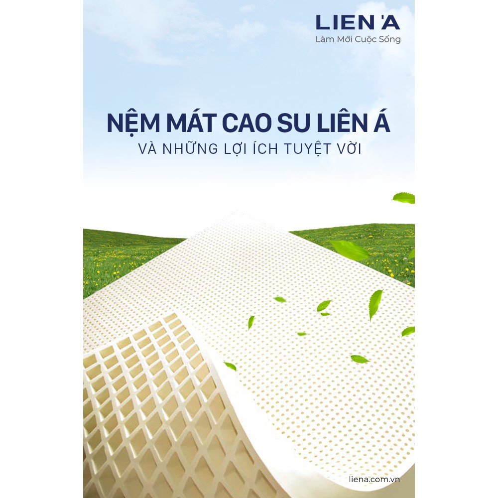 Nệm Cao Su Thiên Nhiên Liên Á Classic