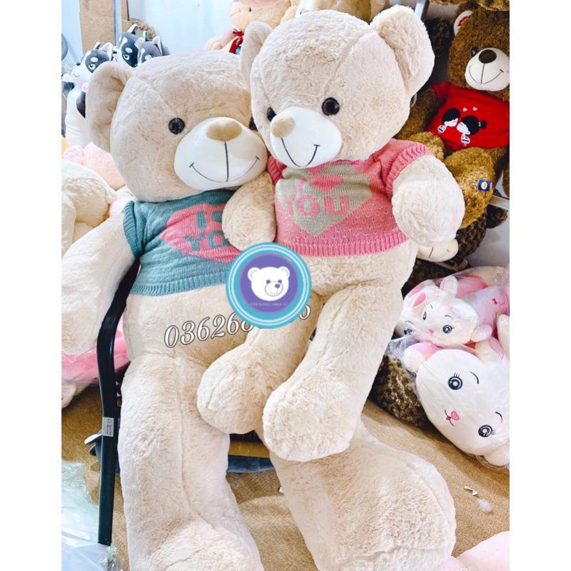 Gấu bông - Gấu  teddy mặc áo len - Gấu Bông Hana