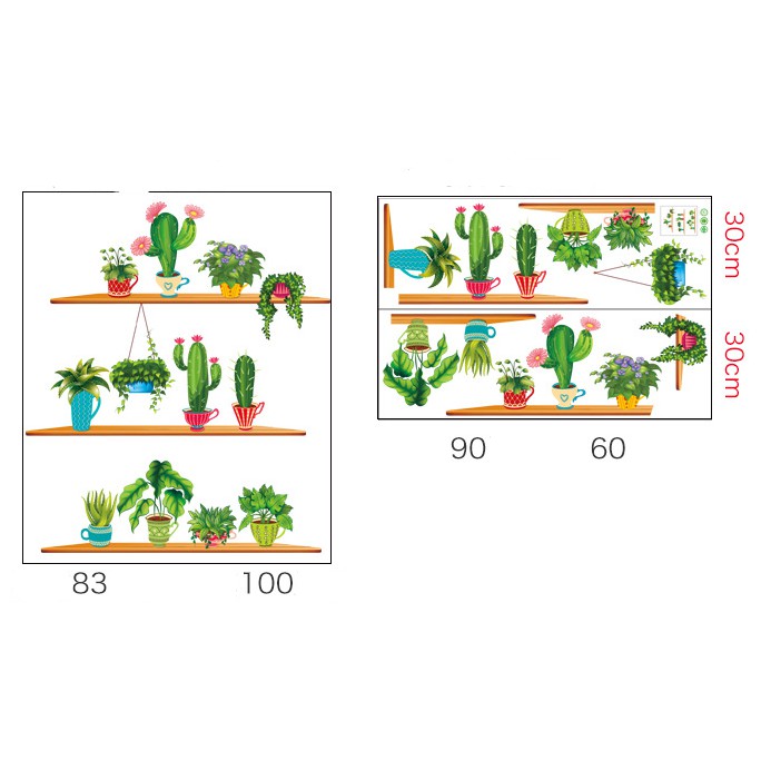 Decal trang trí tường Nhiều Chậu Xương Rồng