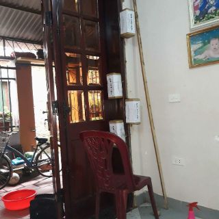 Combo 1bộ Thuốc diệt mối tận gốc (3hộp nhử+1lọ PMC 90DP chính hãng nắp có đai)