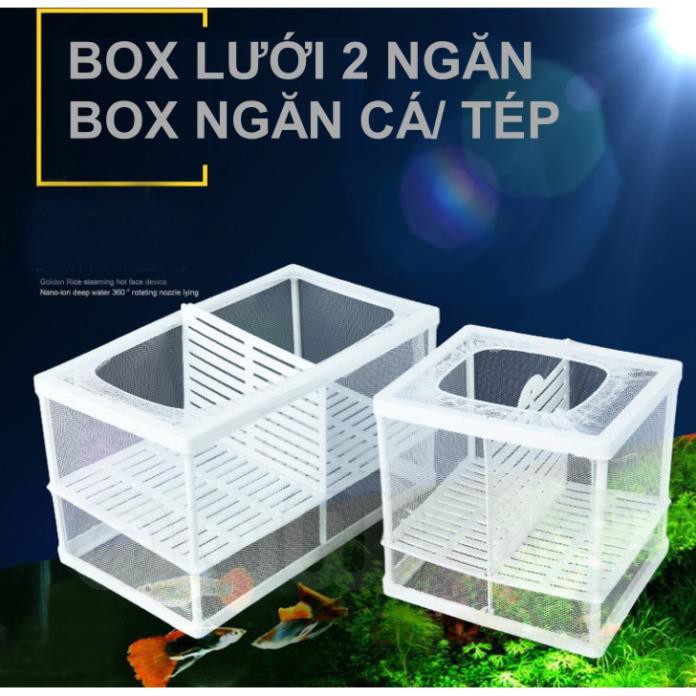 ☘ Box Lưới - Lồng Cách Ly, Dưỡng Cá Tép Bằng Vải Lưới