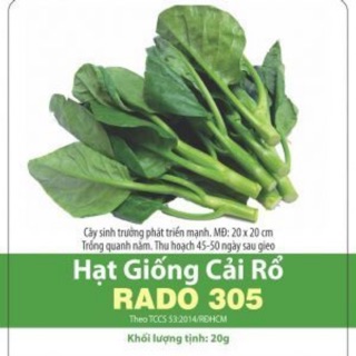 Hạt giống cải rổ 305 (0.5gr)