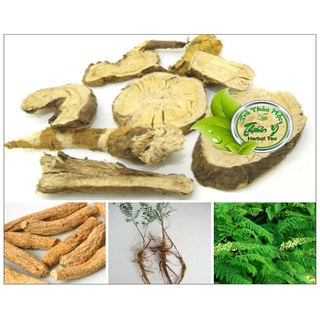 Củ khổ sâm khô sạch