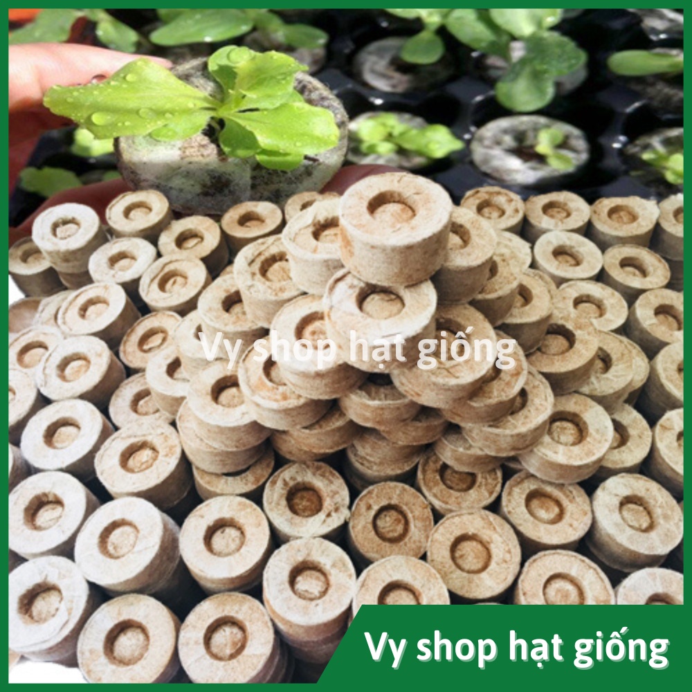 Set 10 viên nén xơ dừa ươm hạt giống
