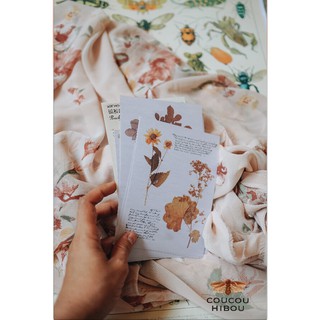 BACKGROUND STICKER  A6 NỀN GIẤY NẾN- mẫu hoa ép