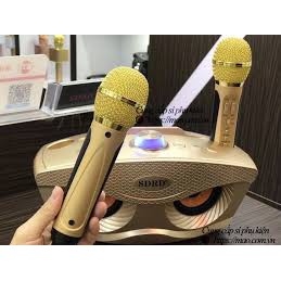 Loa Karaoke Bluetooth SD-306 Kiểu Dáng Cú Mèo Độc, Lạ, Tặng Kèm 2 Micro Bảo hành: 3 Tháng