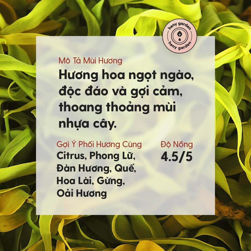 Tinh Dầu Ngọc Lan (Hoa Ngọt Nhẹ) Organic Thiên Nhiên Nguyên Chất Đậm Đặc Xông Thơm Phòng, Làm Nến Thơm HENY GARDEN