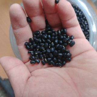 Đỗ đen nhỏ hạt xanh lòng 1kg