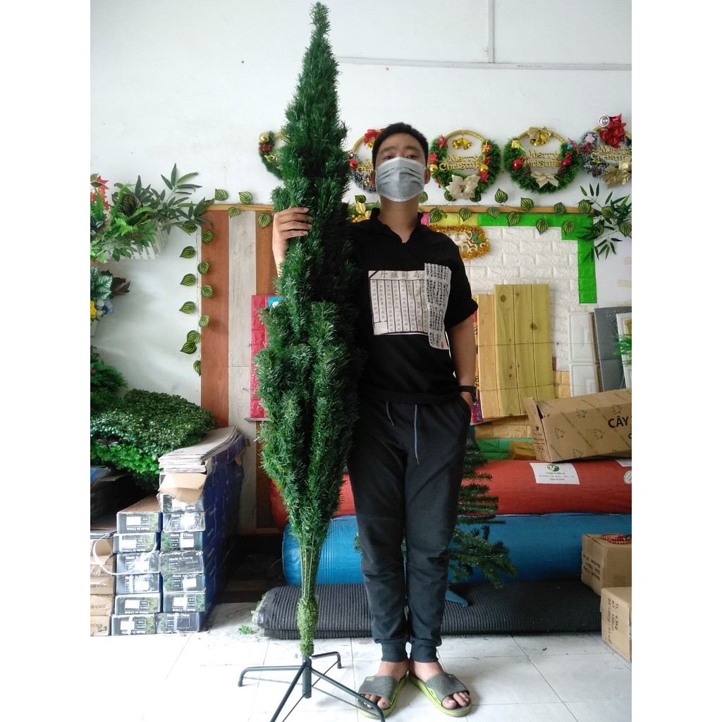 Siêu Rẻ_Cây Thông Noel Cao 2.1M Tán Dày, Rộng