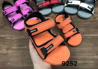 Sadal geox xịn sò