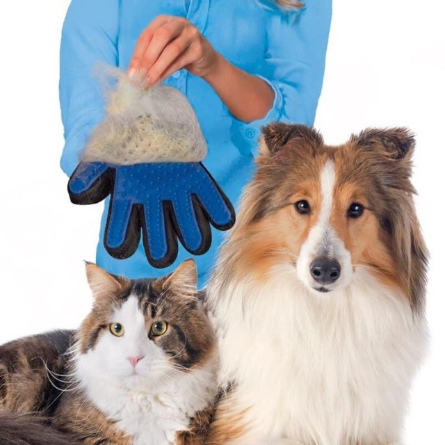 Găng tay vuốt lông - 1 công đôi việc dành cho chó mèo - ảnh sản phẩm 5