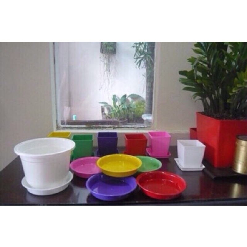 Đĩa lót nhựa Size D270 / D300 tiện lợi (ảnh thật)