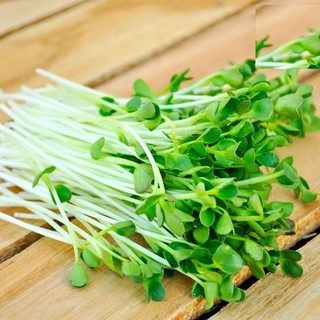 50Gr Hạt Mầm cải xanh Đà Lạt
