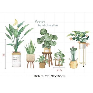 Decal Chậu Lá Nhiệt đới Tropical