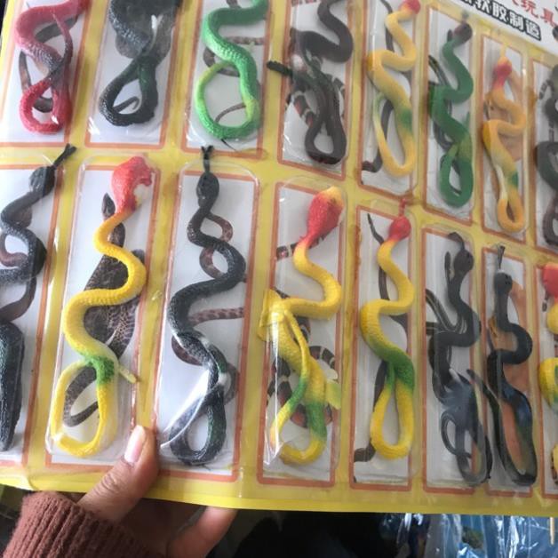 20 con rắn giả đủ mẫu SỈ ĐỒ TRẺ EM