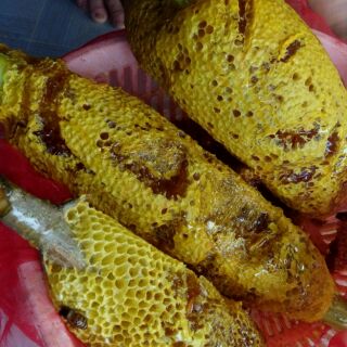 Mật ong ruồi rừng 1 lit