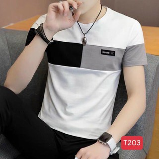 Áo thun nam cao cấp 100% cotton