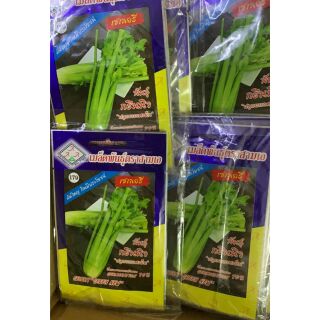 Hạt giống cần tây bẹ to  (nhập khẩu Thái Lan)