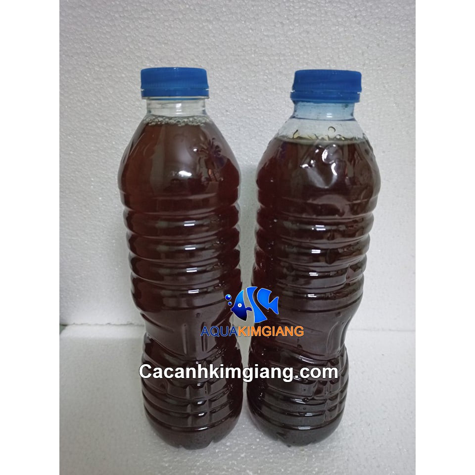 Nước cốt lá bàng khô