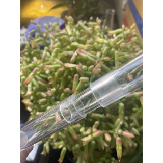 Nối thẳng Acrylic