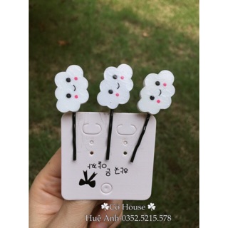 Combo Kẹp trái cây