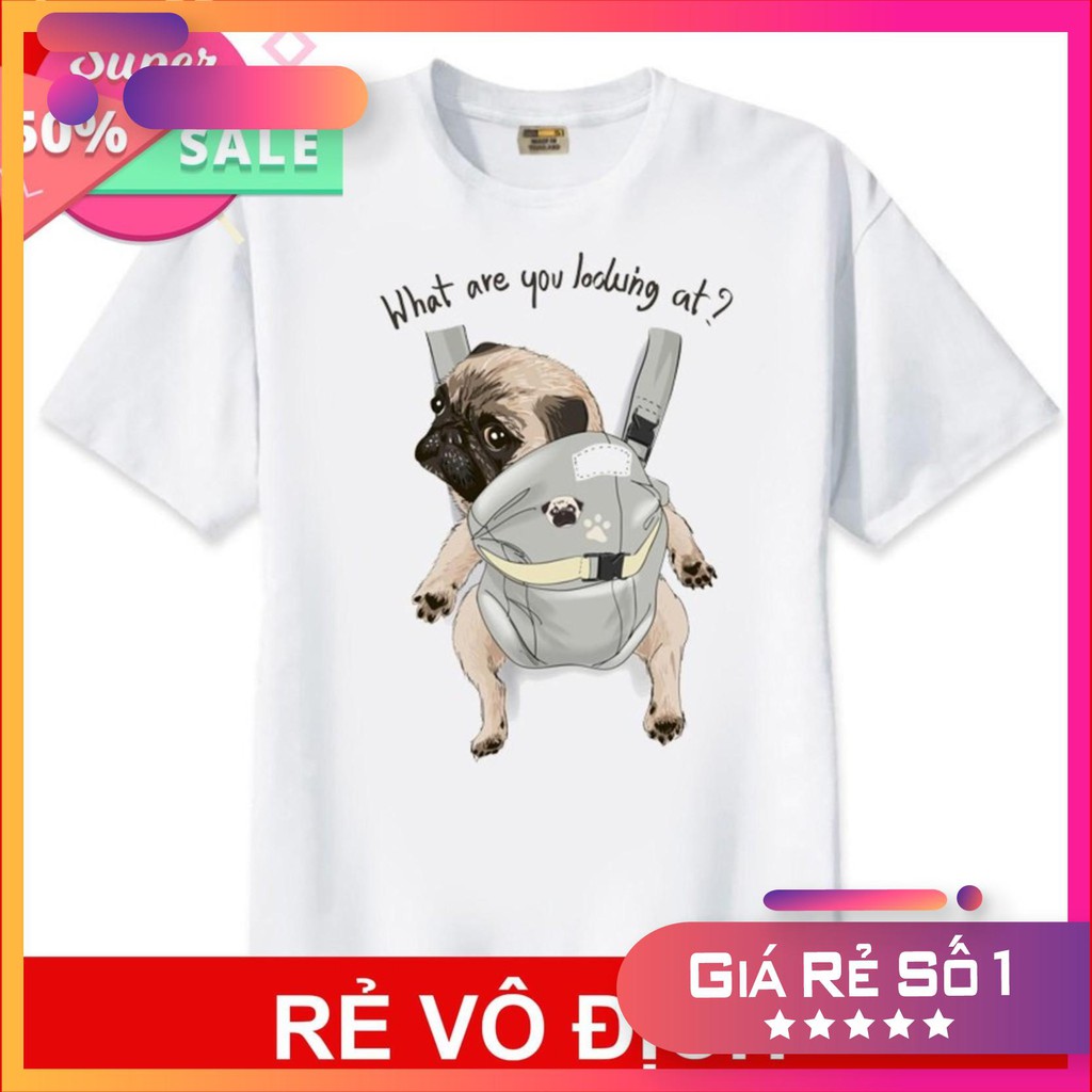 [SALE]  Áo thun Teen Nam Nữ in hình Chó Pug Cute Dog - Mẫu áo thun siêu HOT