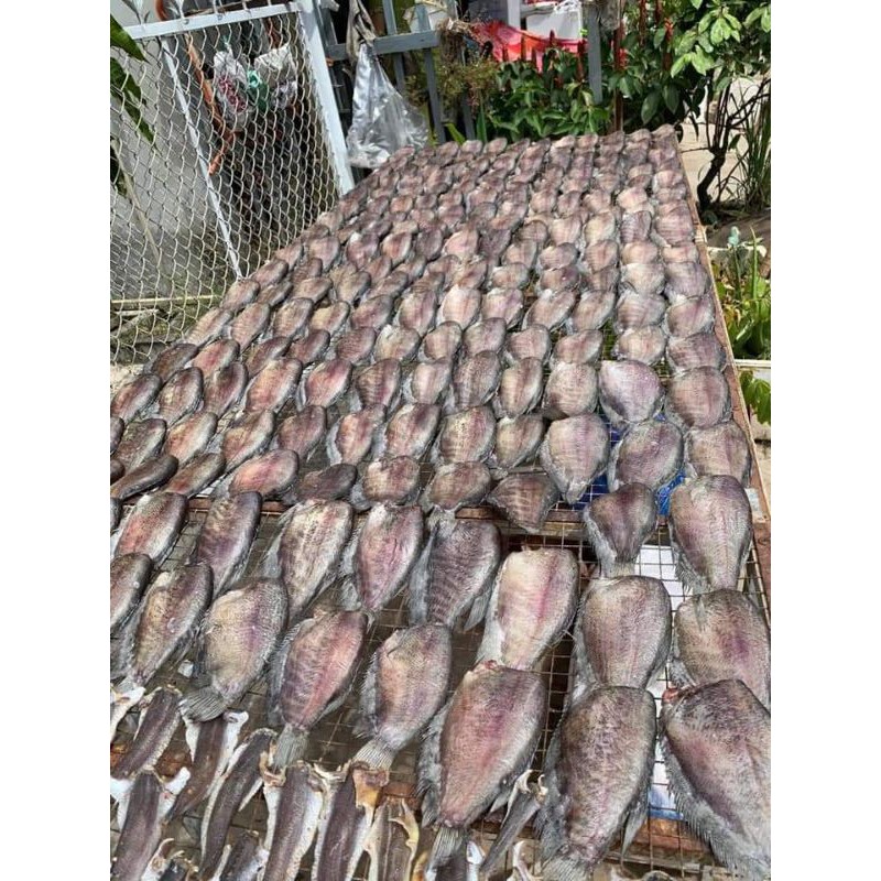 khô cá sặc không đầu loại 8 con giá 280k/kg